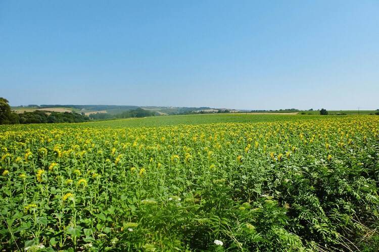 Photo of Outdoor in Chenac-Saint-Seurin-d'Uzet