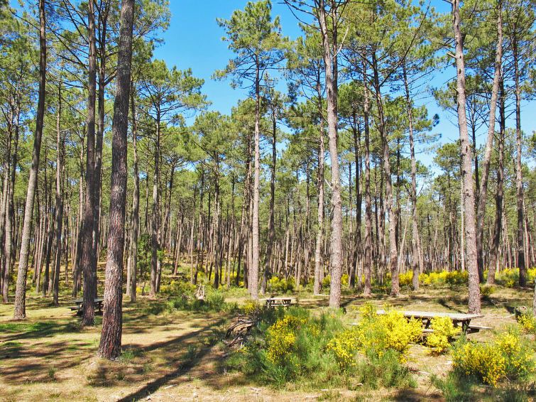 Photo of Outdoor in Lit-et-Mixe