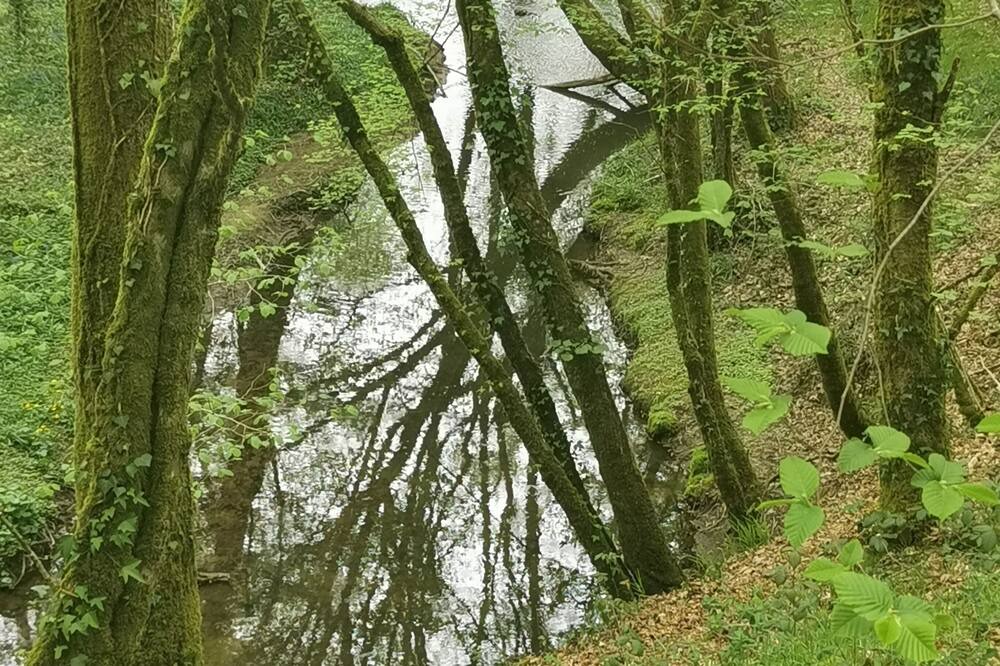 Photo of Outdoor in Limoges