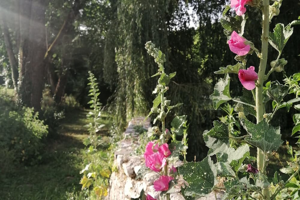 Photo of Outdoor in Angles-sur-lAnglin