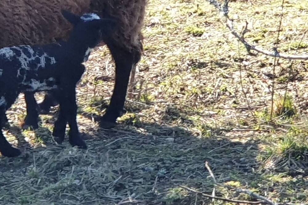 Photo of Others in Yviers