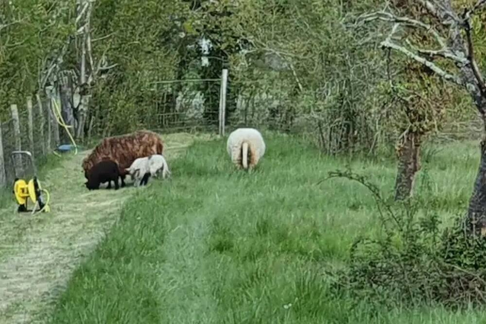 Photo of Others in Yviers