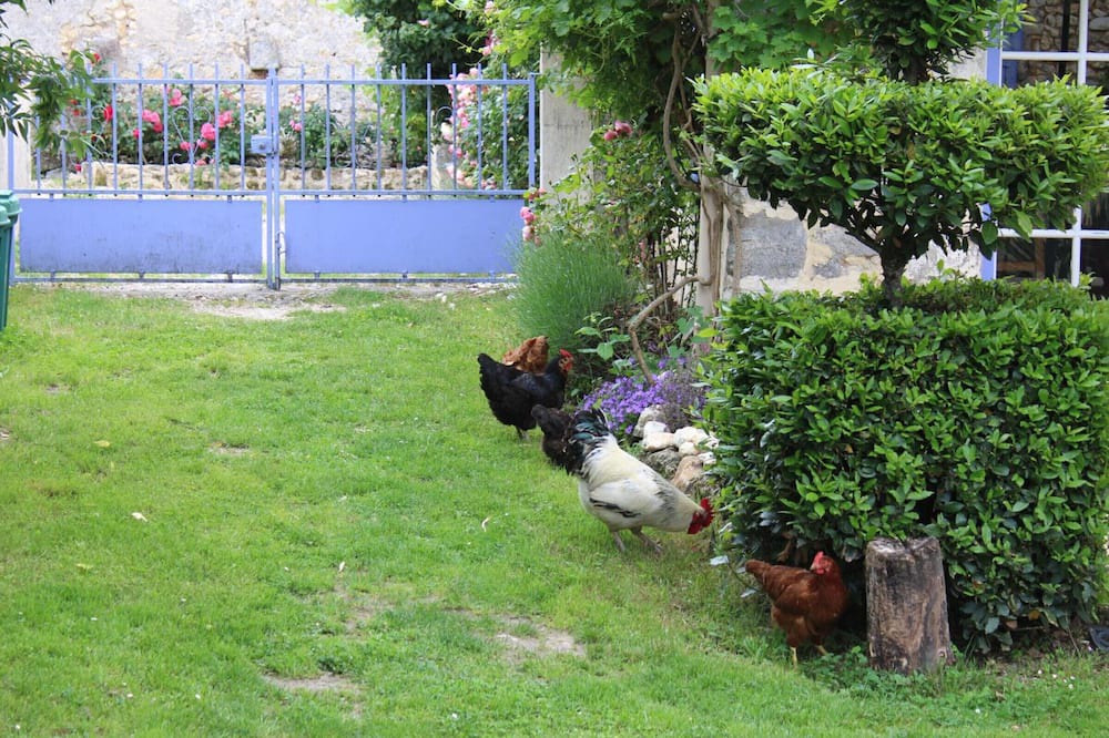 Photo of Outdoor in Brossac