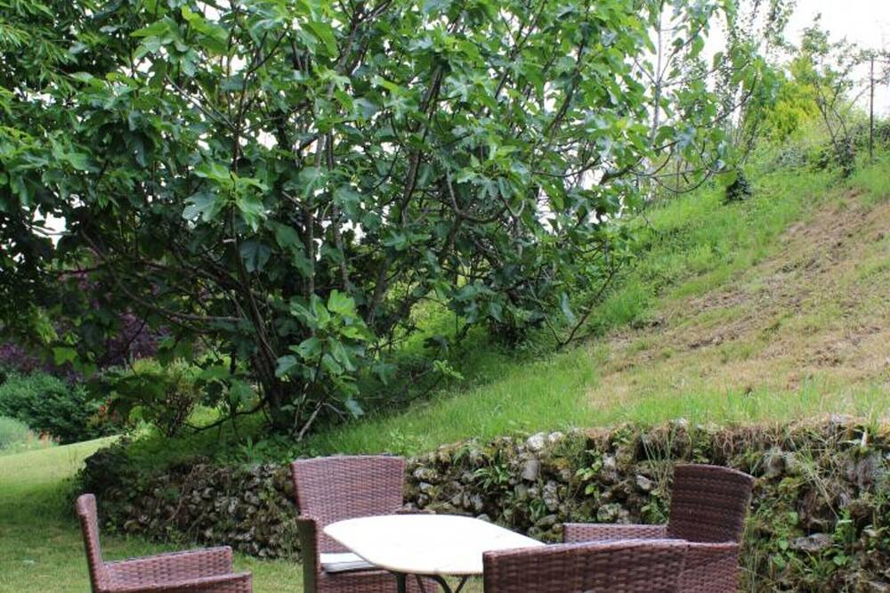Photo of Outdoor in Brossac