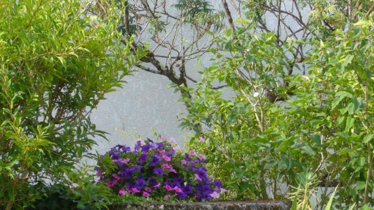 Photo of Outdoor in Baignes-Sainte-Radegonde