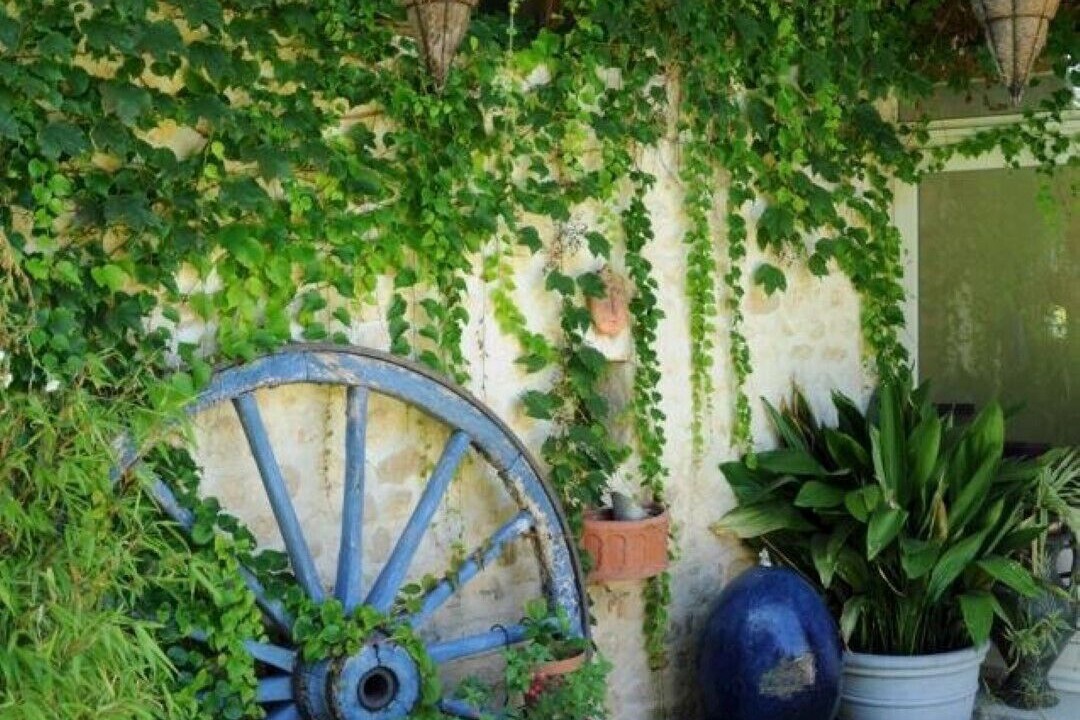 Photo of Outdoor in Nonac