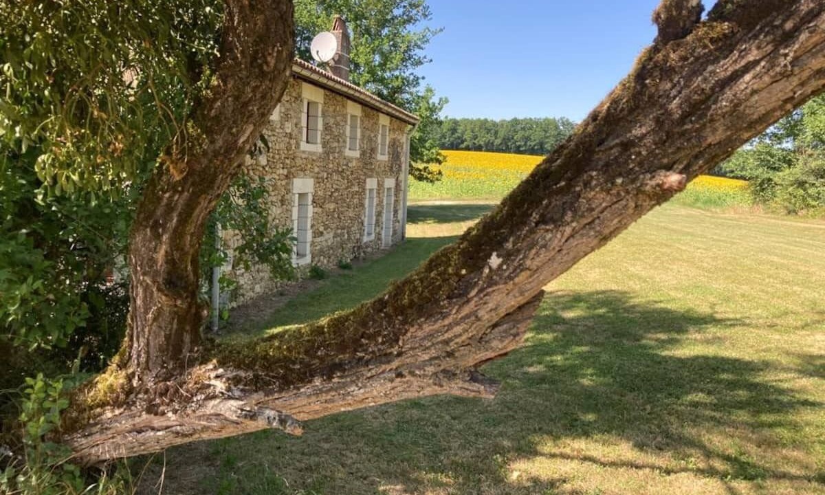 Photo of Outdoor in Combiers
