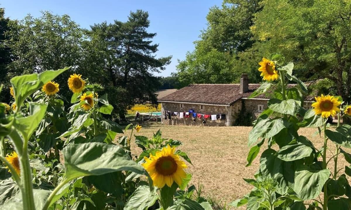 Photo of Outdoor in Combiers