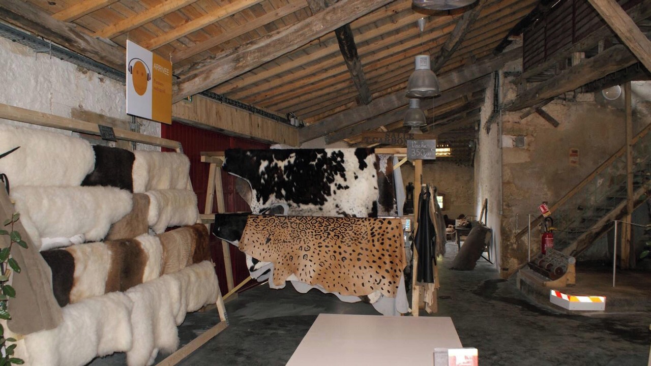 Photo of Others in Vasles