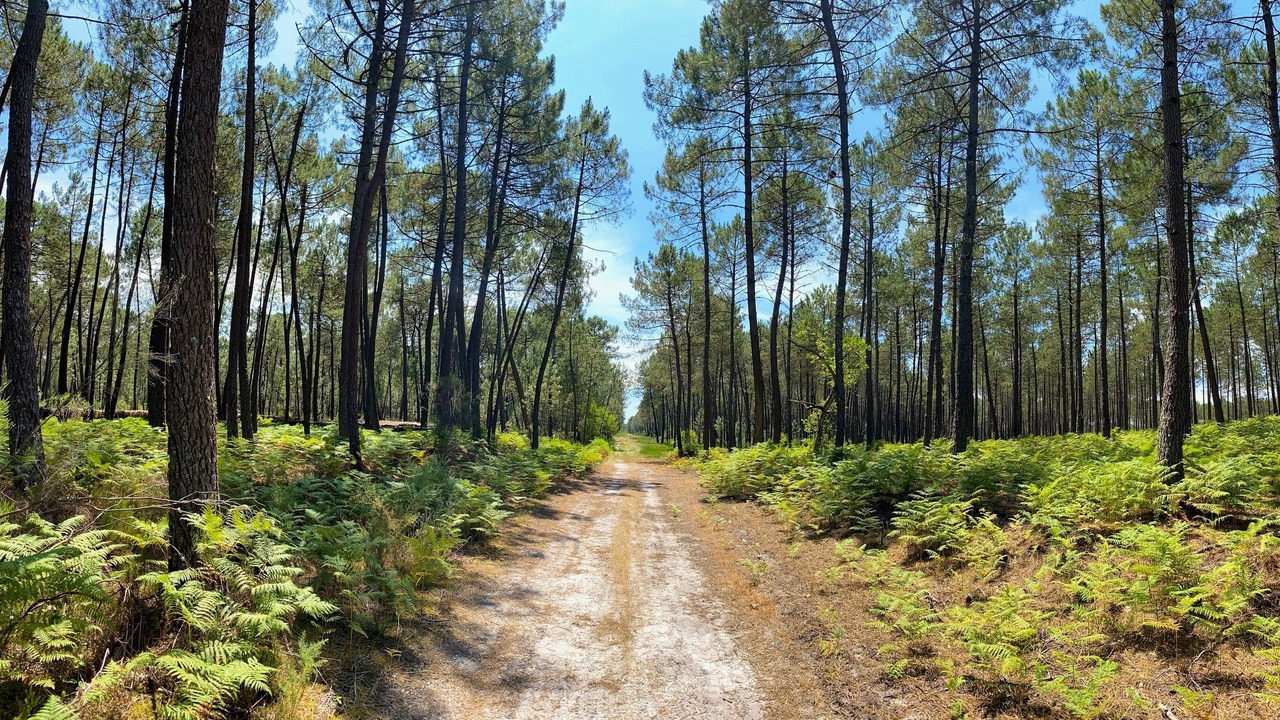 Photo of Outdoor in Cestas