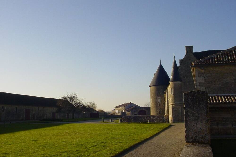 Photo of Outdoor in Paizay-Naudouin-Embourie