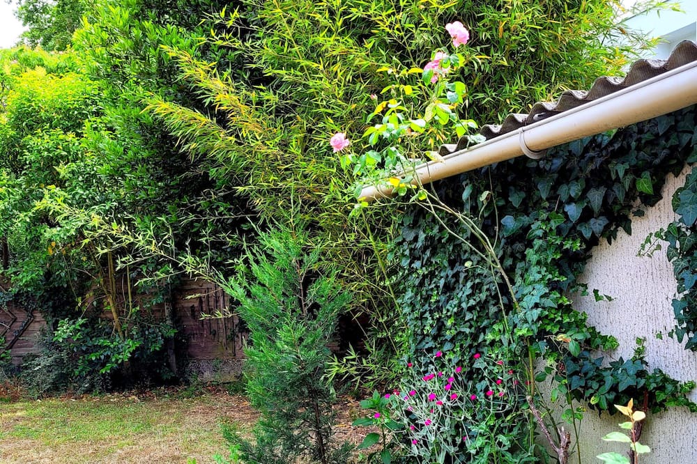 Photo of Outdoor in Bacalan