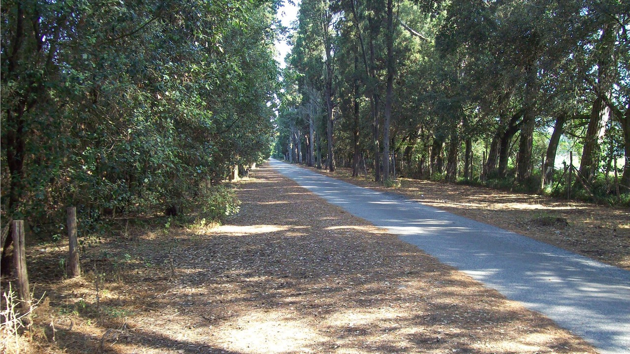 Photo of Outdoor in Migliarino