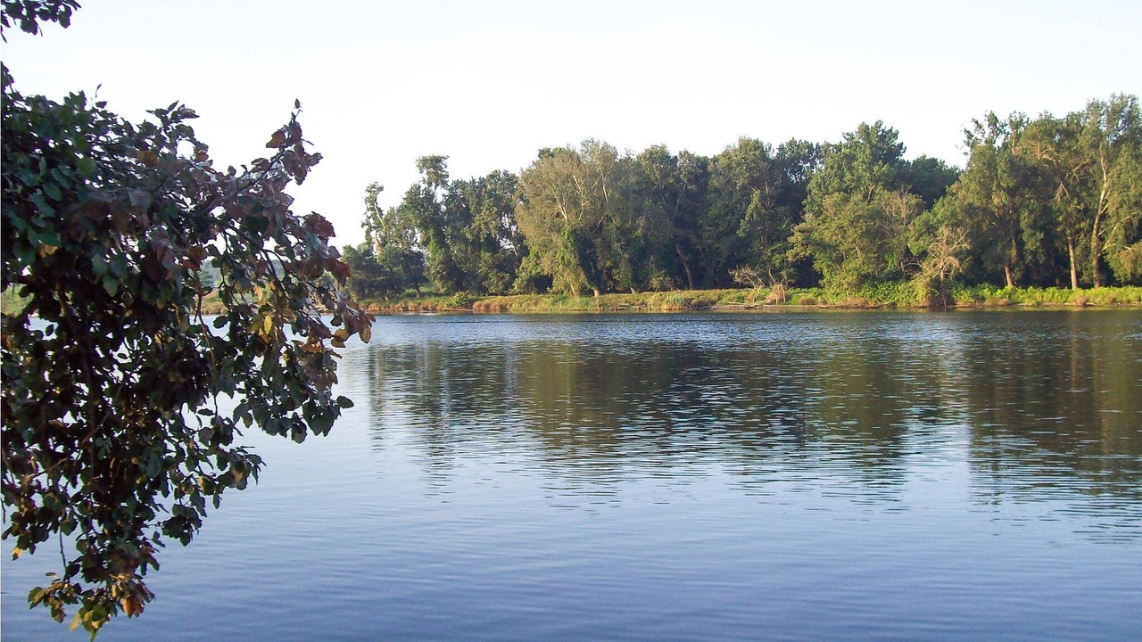 Photo of Outdoor in Migliarino