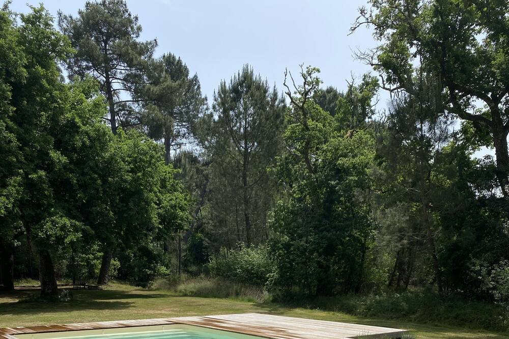 Photo of Outdoor in Lencouacq