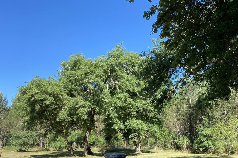 Photo of Outdoor in Lencouacq