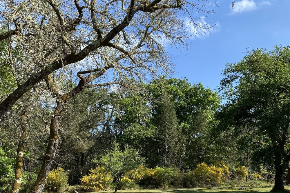 Photo of Outdoor in Lencouacq