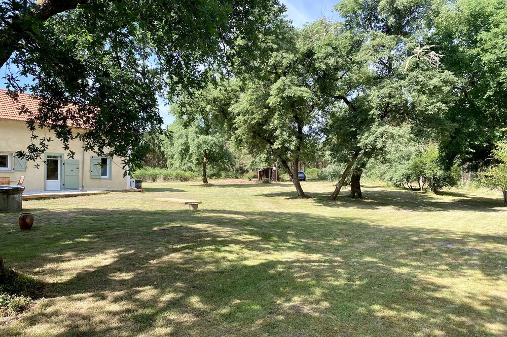 Photo of Outdoor in Lencouacq