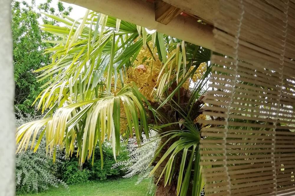 Photo of Outdoor in Marigny