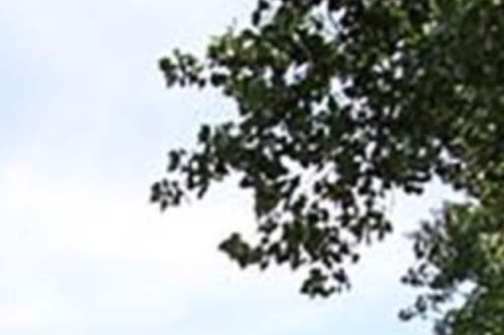 Photo of Outdoor in Langon