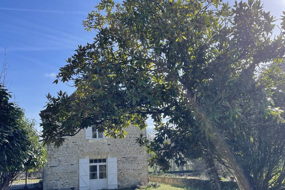 Photo of Others in Saint-Medard-d'Excideuil