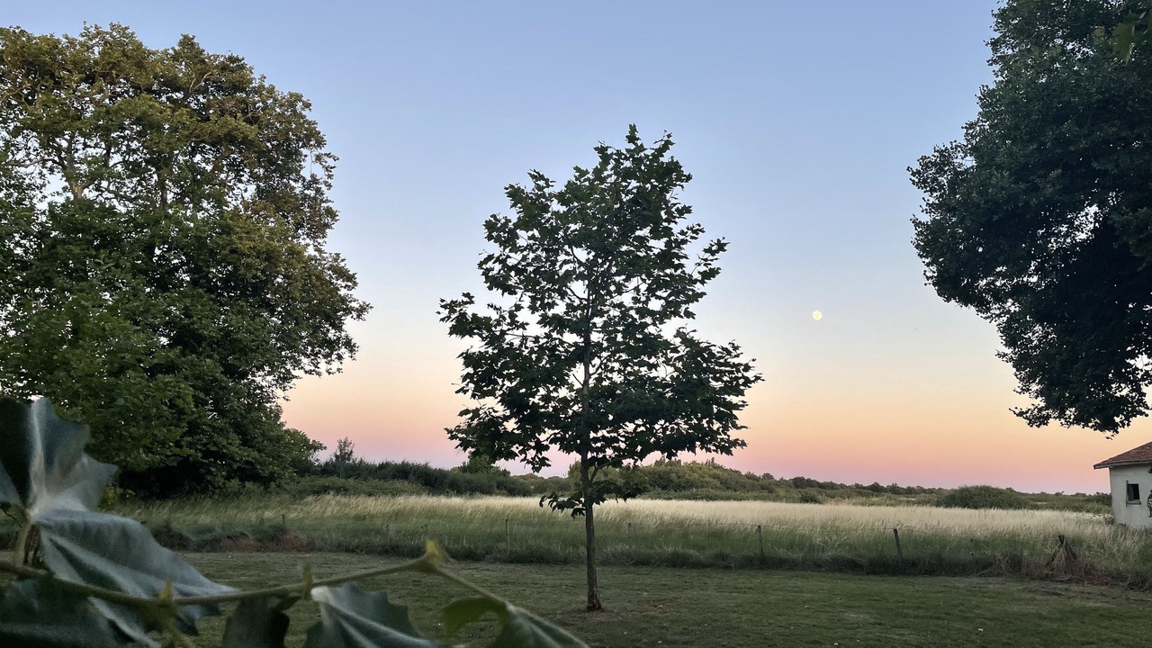 Photo of Outdoor in Soulac-sur-Mer