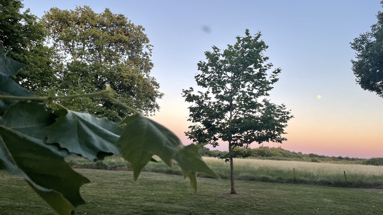 Photo of Outdoor in Soulac-sur-Mer