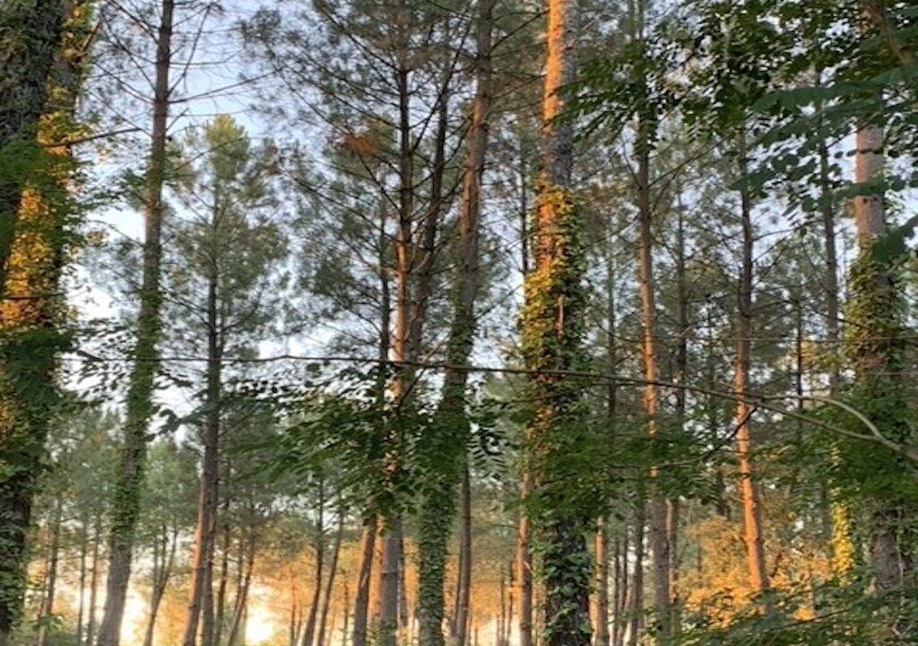 Photo of Outdoor in Boos
