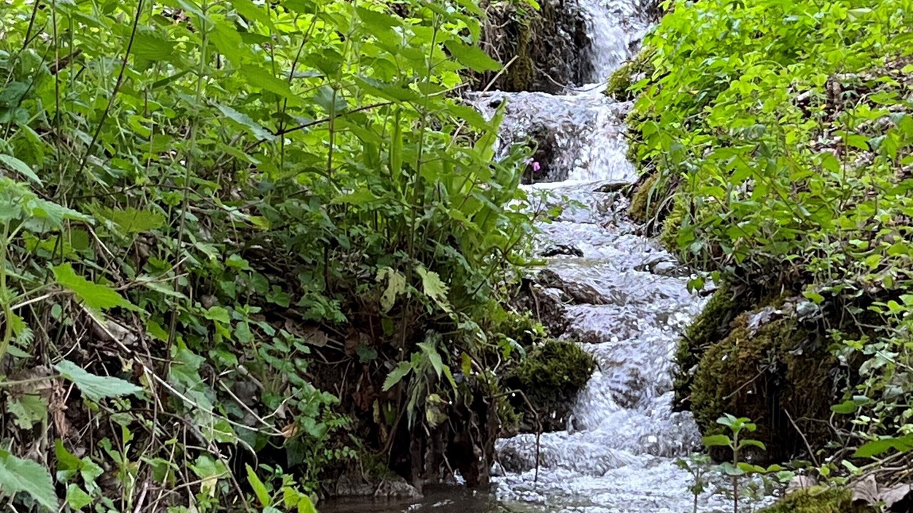 Photo of Outdoor in Vezac