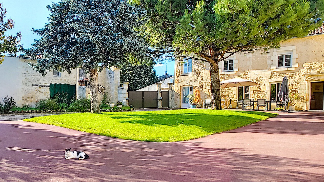 Photo of Outdoor in Bois