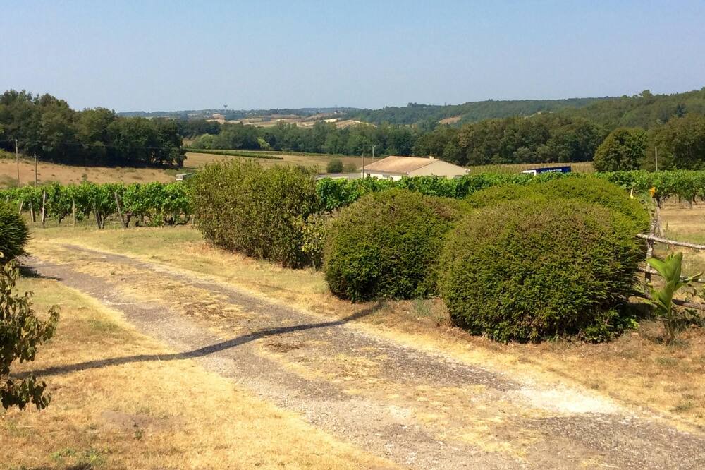Photo of Outdoor in Mirambeau