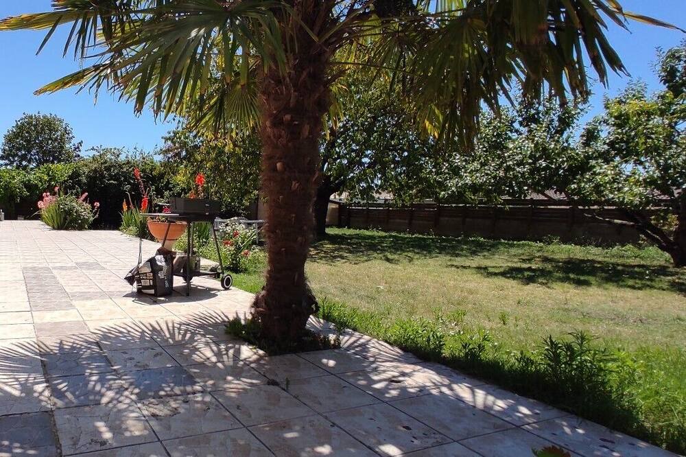 Photo of Outdoor in Sainte-Soulle