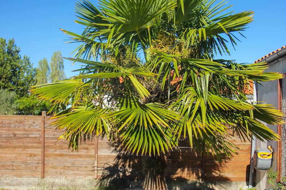 Photo of Outdoor in Sainte-Soulle