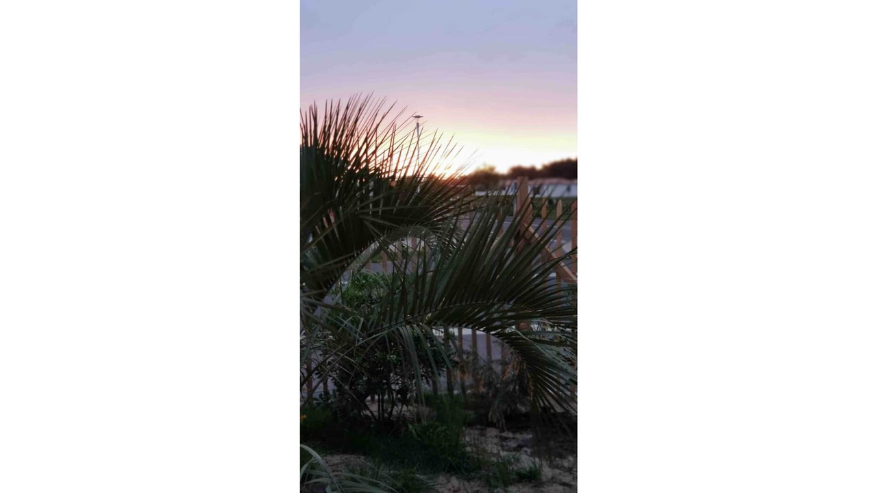 Photo of Outdoor in Vensac