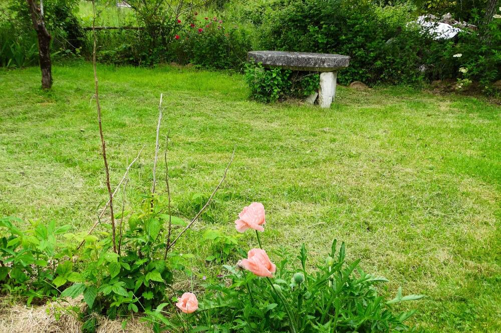 Photo of Outdoor in La Mothe-Saint-Heray