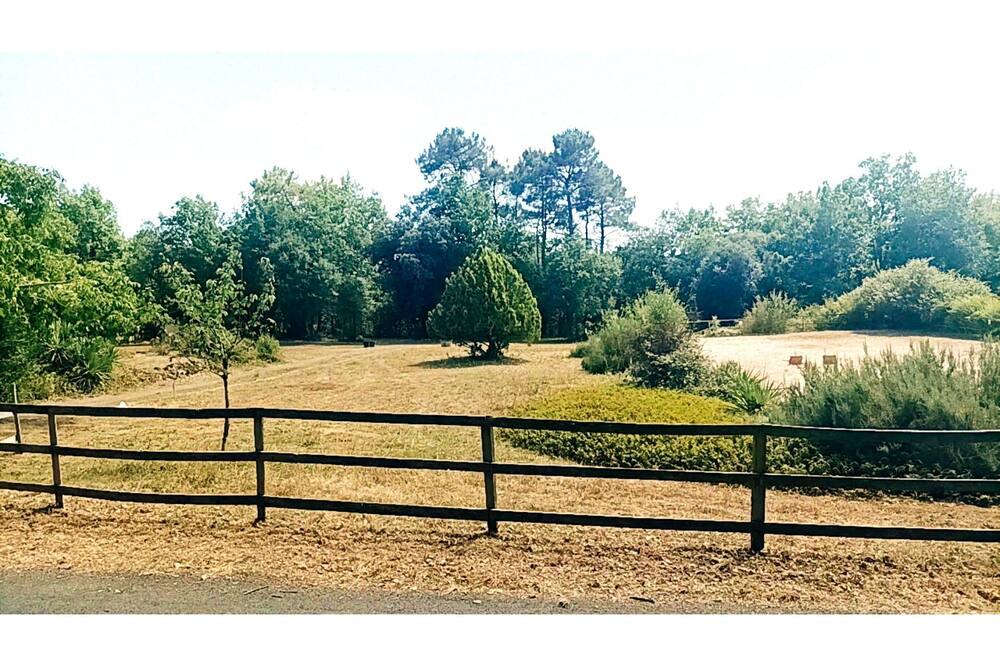 Photo of Outdoor in Saint-Aubin-de-Nabirat