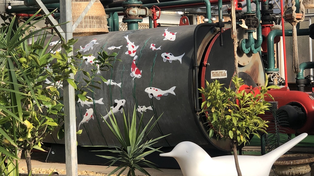 Photo of Outdoor in Perigueux