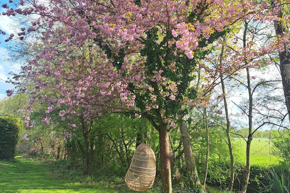 Photo of Outdoor in Champagnac