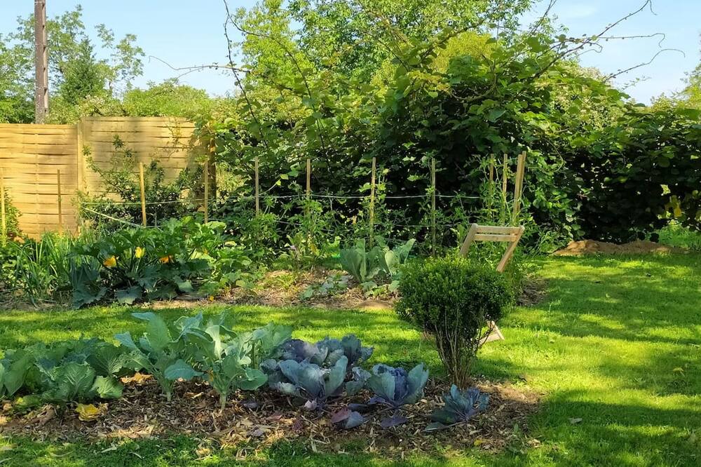 Photo of Outdoor in Angoisse