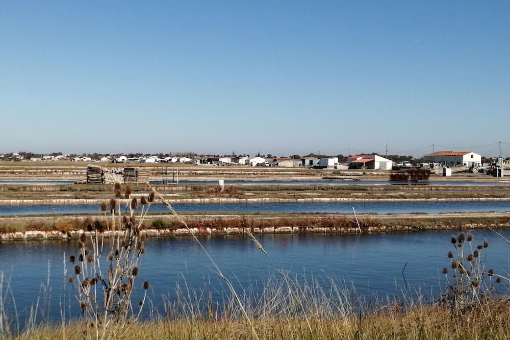 Photo of Others in Port-des-Barques