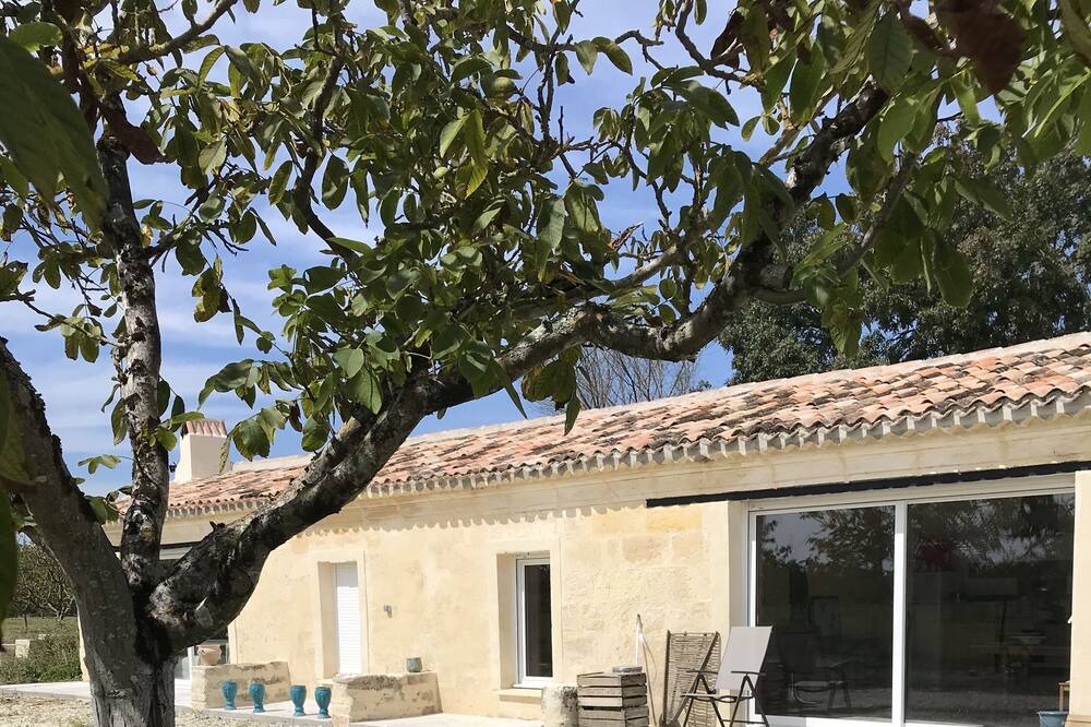 Photo of Outdoor in Bourg-sur-Gironde