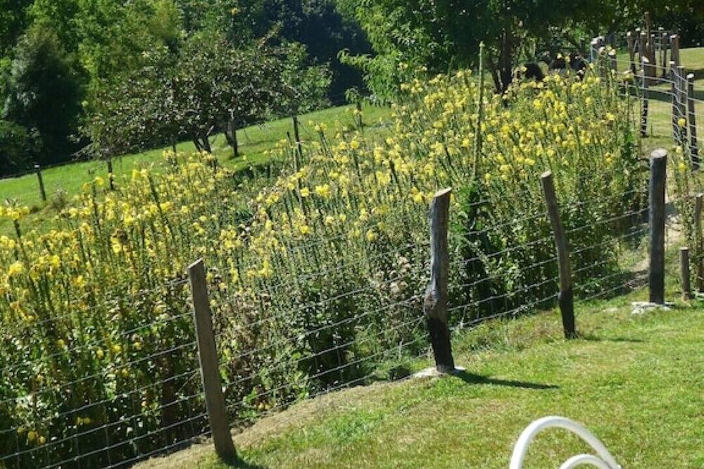 Photo of Outdoor in Saint-Romain