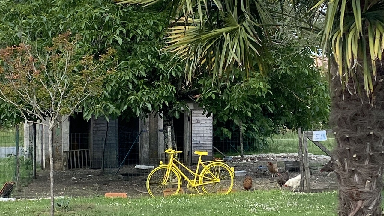 Photo of Outdoor in Berson