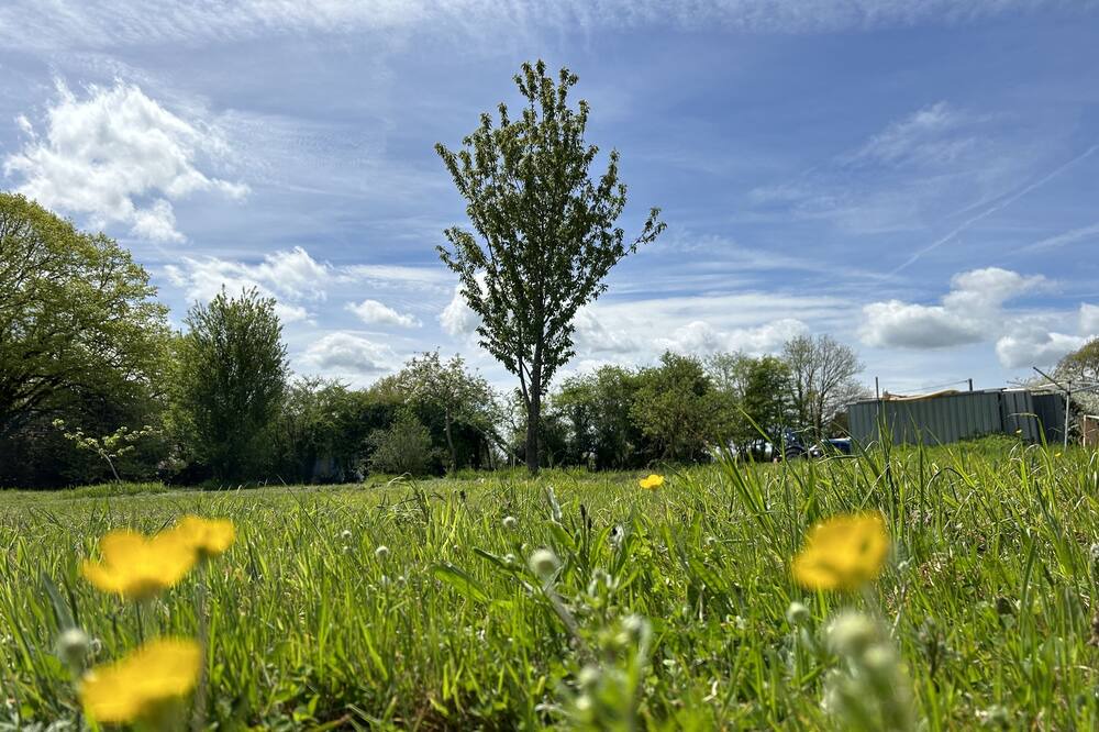 Photo of Others in Malleret-Boussac