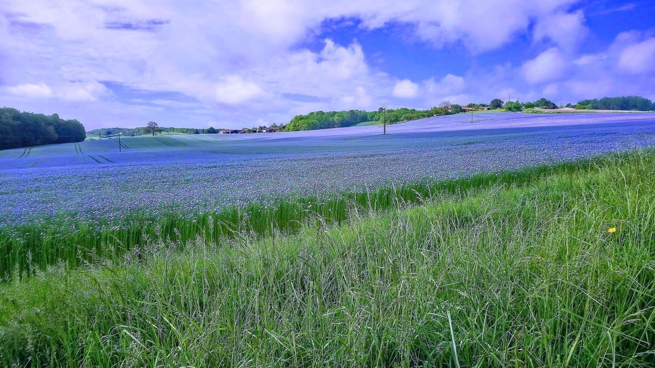 Photo of Outdoor in Pillac