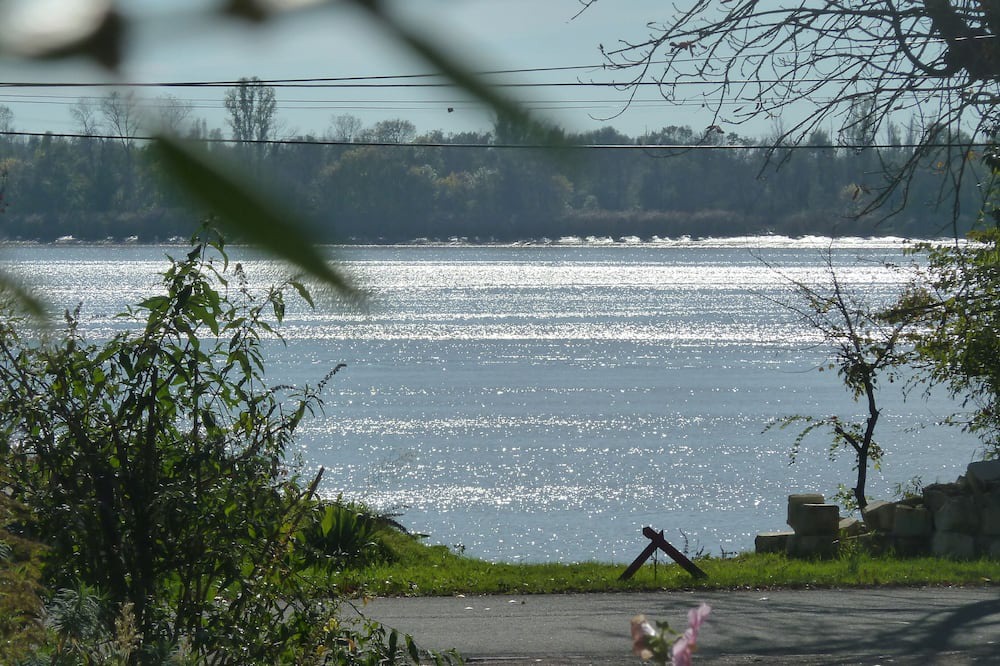 Photo of Others in Bourg-sur-Gironde