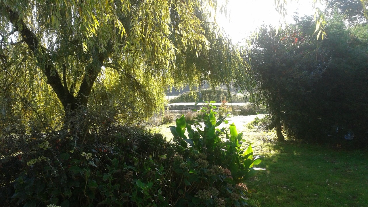 Photo of Outdoor in Fenery