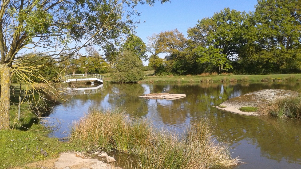 Photo of Outdoor in Fenery