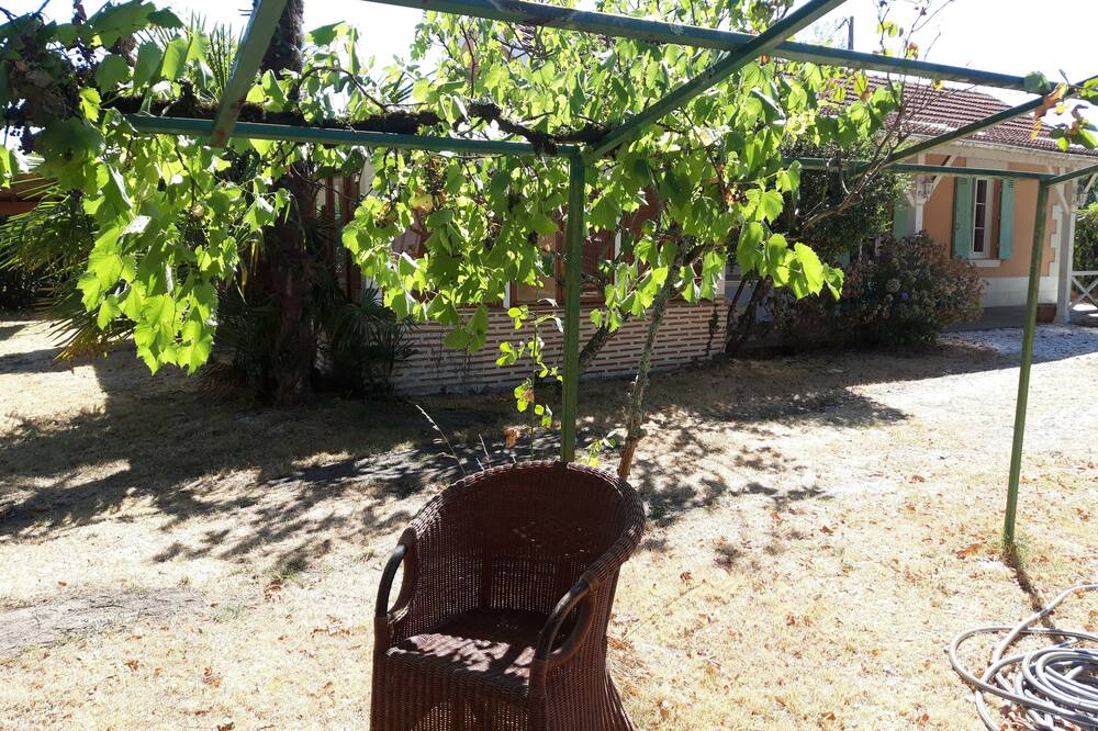 Photo of Outdoor in Le Teich