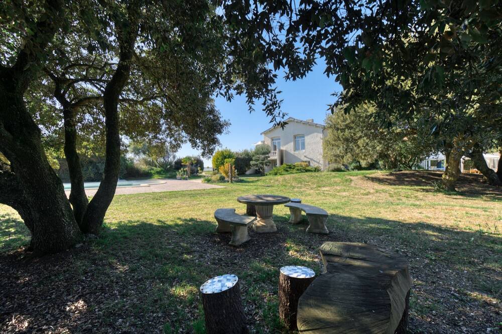 Photo of Outdoor in Angoulins